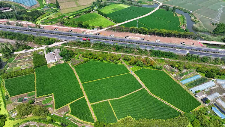 在東江之畔，亭山茭白有點甜